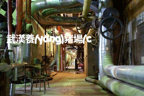 武漢養(yǎng)豬場(chǎng)廢水處理的以后：揭秘綠色養(yǎng)殖的奧秘？